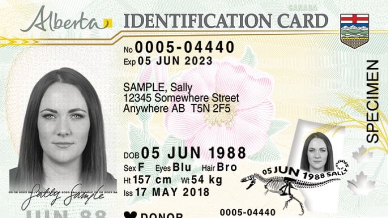 Alberta to ontario drivers license
